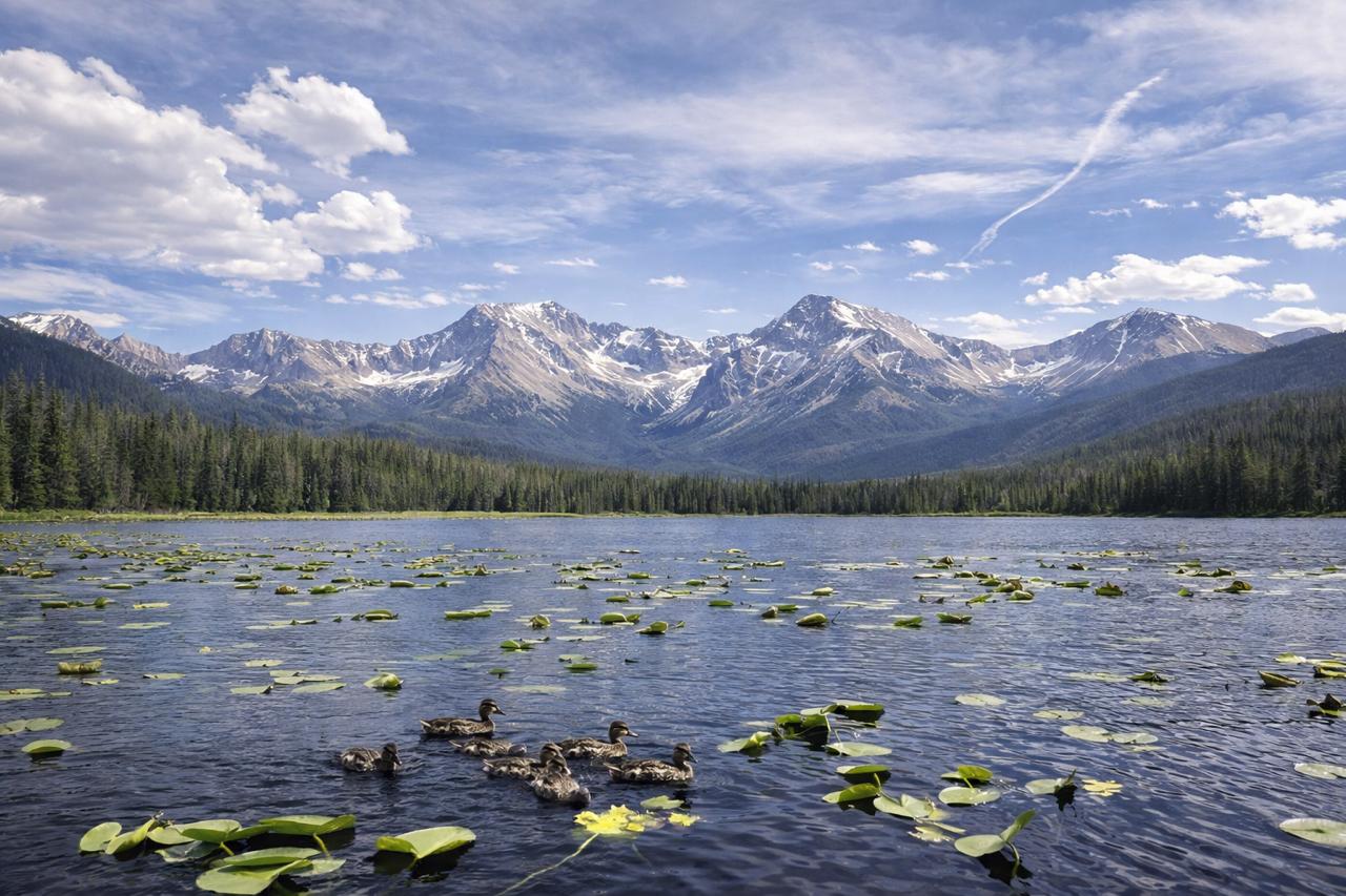 Iron Shapes Iron retreat